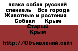 вязка собак русский спаниель - Все города Животные и растения » Собаки   . Крым,Старый Крым